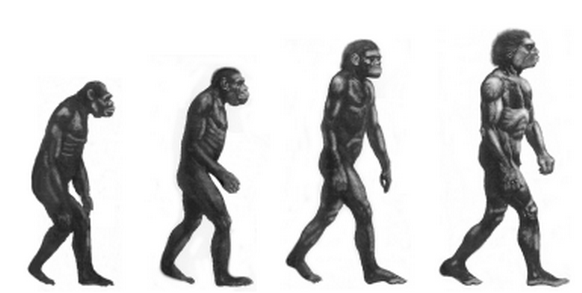 Evolución del hombre. Foto: web