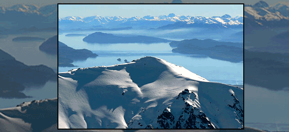 La protección de nuestro ecosistema.