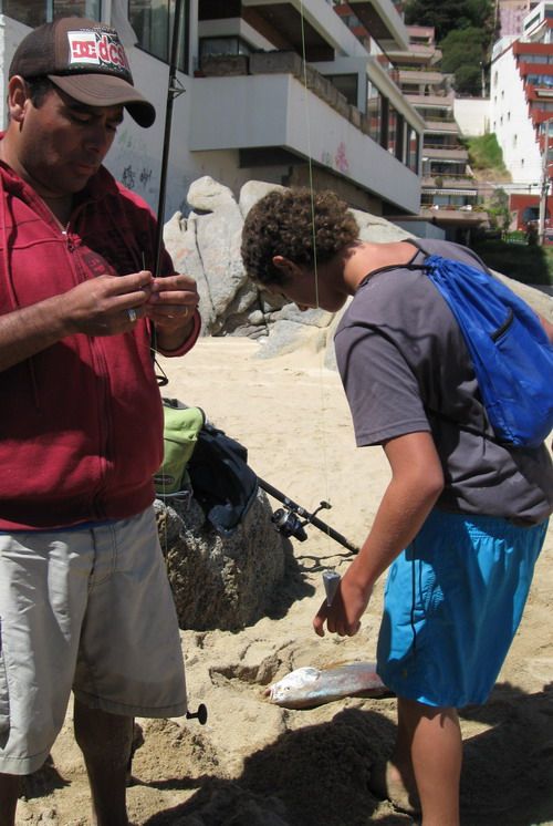 Corvina verticl INTERIOR