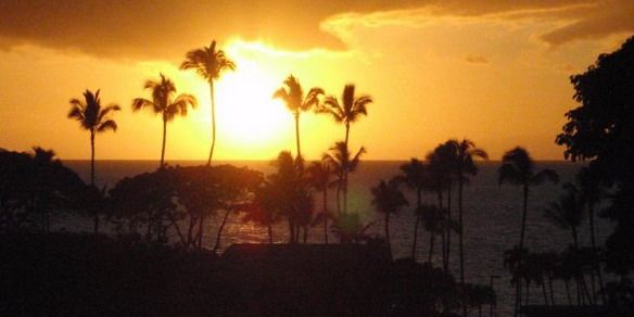 N538458050_1296558_5053 1