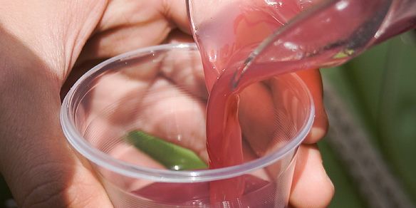 EL JUGO DE LA UVA RECIÉN PISADA