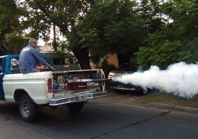 Fumigan dengue P1