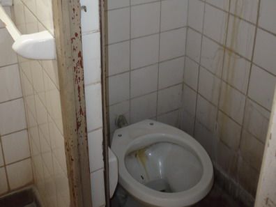 Sala-Palmira5-P