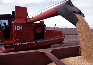 Soja - cosecha - portada