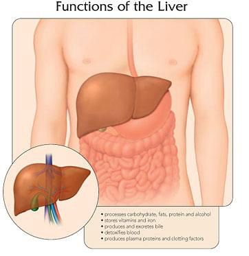 Hepatitis interior nota