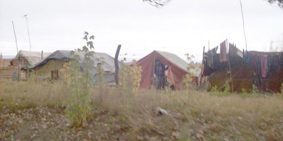 Carpas obreros golondrinas