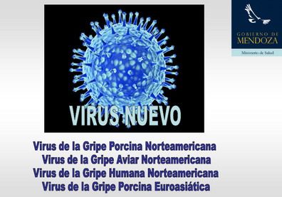 Gripe A - Gobierno PORTADA