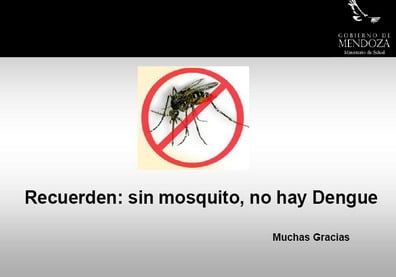 Dengue - Gobierno PORTADA