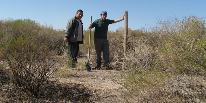 Usurpadores 8 N pobreza