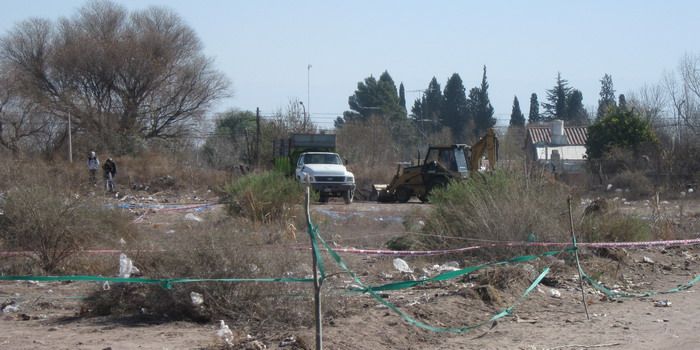 Usurpadores camiones N