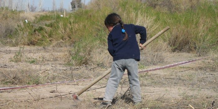 Usurpadores nena N pobreza