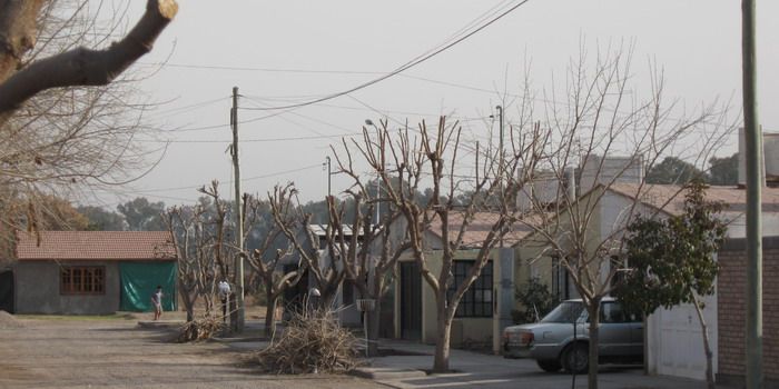 Foto zonda san martín N