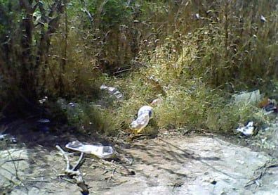 Laberinto 02 - PORTADA