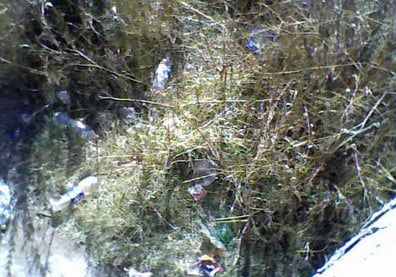 Laberinto 03 - PORTADA