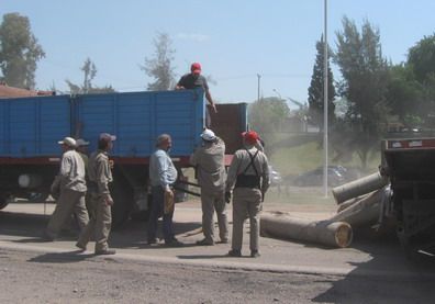 Camión averiado troncos madera P