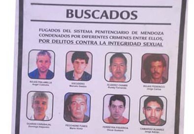 Violadores