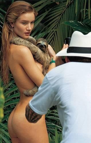 Pirelli mono interior