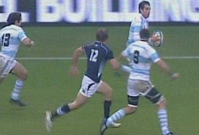 Pumas escocia