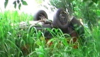 Pomar auto captura TV