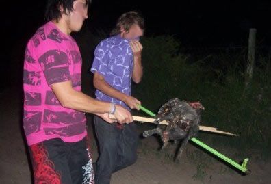 Perro quemado 1