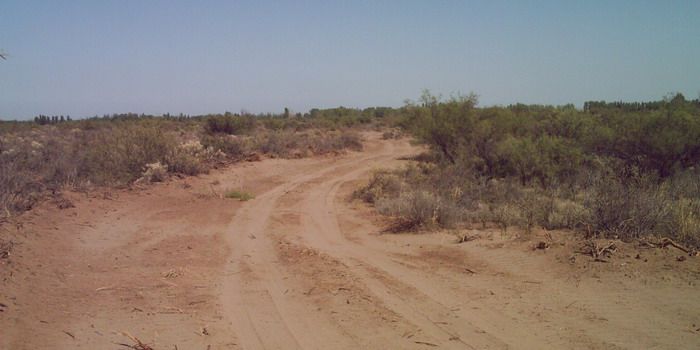 Dakar - Prime - NOTA