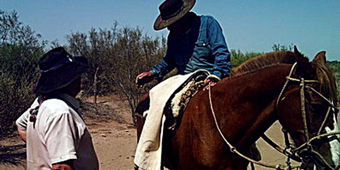 Dakar buey tres 9-1-10