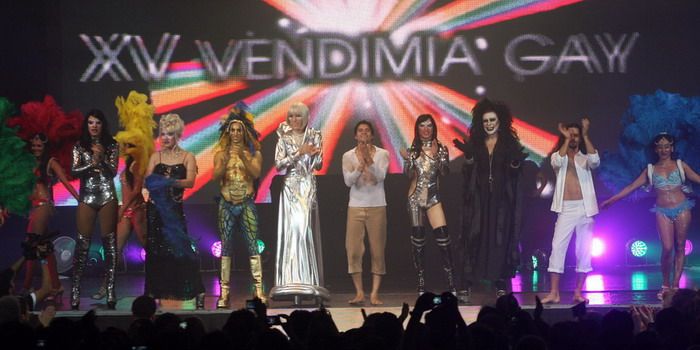 Vendimia gay 2010 8. n