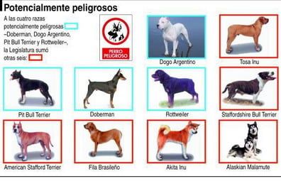 Perros peligrosos P