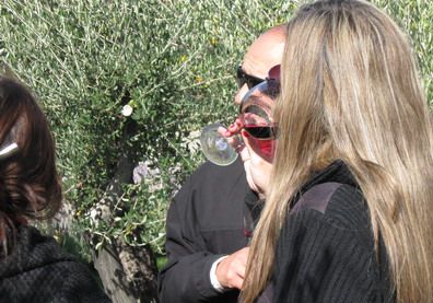 Bus vino bebiendo vino olivos Atamisque PPP