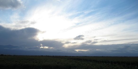 Atardecer Andeluna Bus del Vino NNN