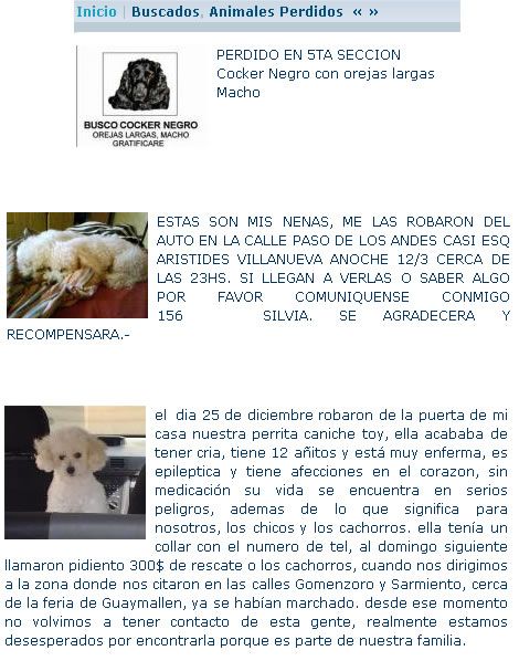Buscan perros quinta y sexta seccion varios 1