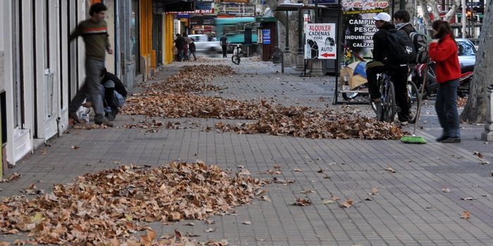 Zonda-viento-hojas-calle-centro (3)