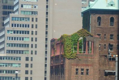 Vertigo verde
