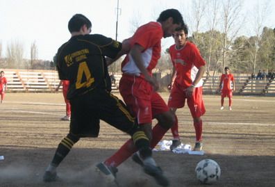Algarrobal - palmira portada