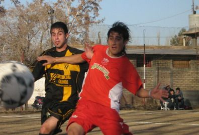 Algarrobal - palmira portada 2