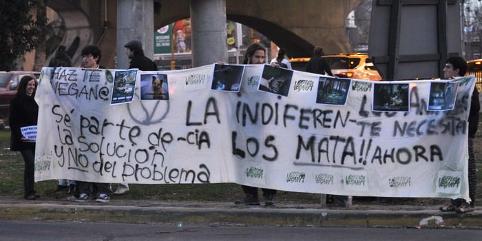 Marcha-perros-fosa-terminal - NOTA