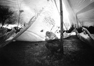 Viaje a Eserre para int 1