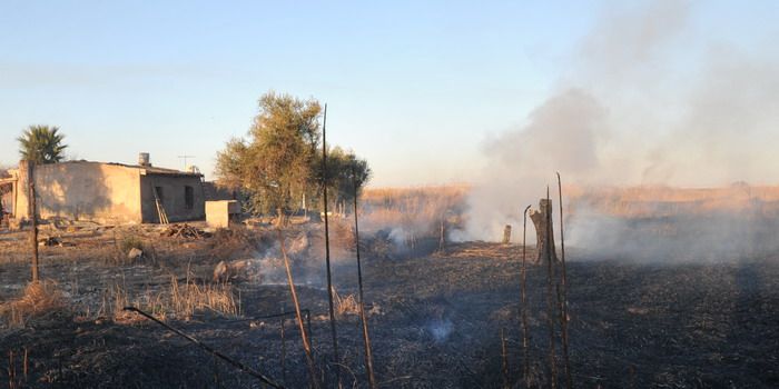 Incendio el sauce n 5