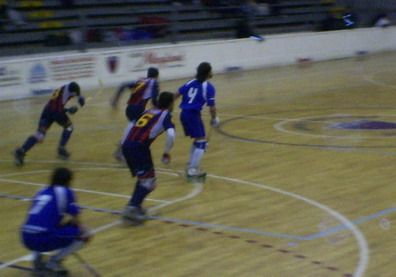 Hockey sobre patines4