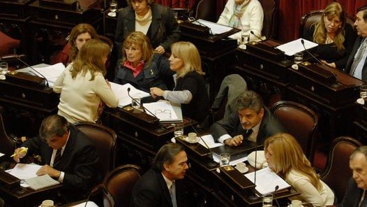 Votacion-reforma-Indec-Mario-Quinteros_CLAIMA20100812_0148_4