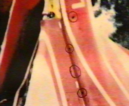 Helicoptero menem jr