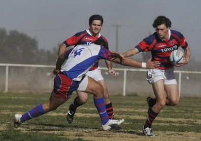 Tordos vs Teque Portada