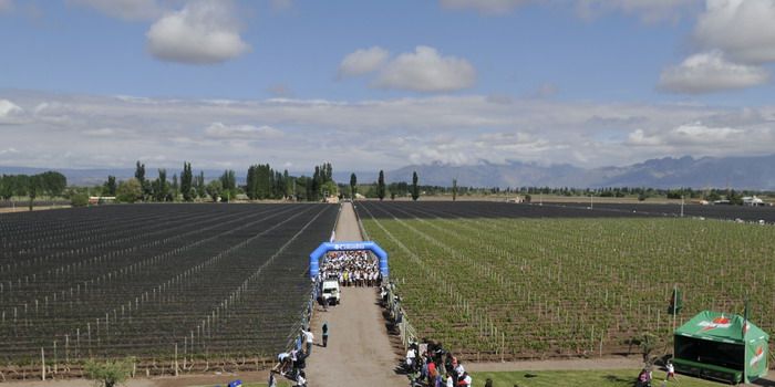 11 millas de los campeones 2010 - NOTA27