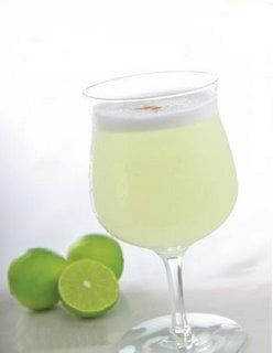 Pisco sour blog