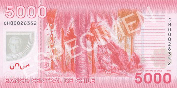 Billete chile Reverso 5000