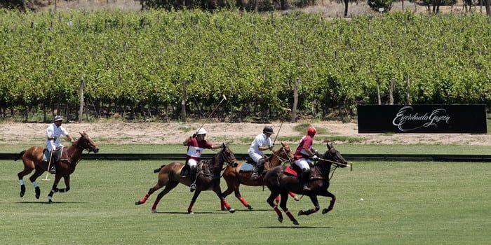 Agrelo-cancha catena.jpg 1