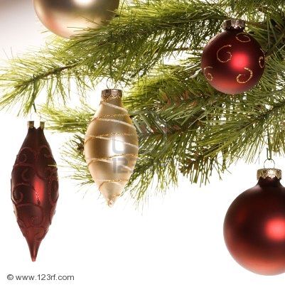 1906592-la-naturaleza-muerta-de-rojo-y-oro-que-cuelgan-adornos-de-navidad-de-rama-de-pino
