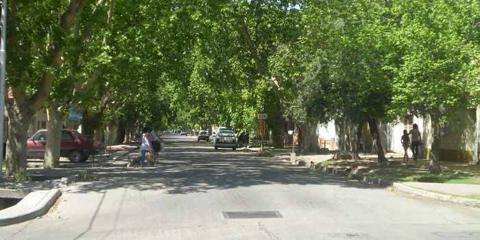 Calle