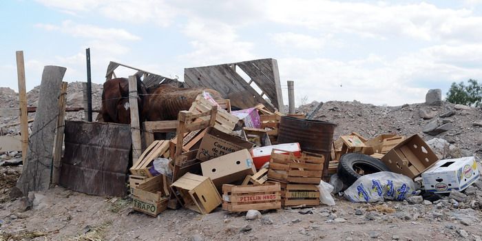 Asentamiento-okupas-la favorita-pobreza-villa-NOTA (3)