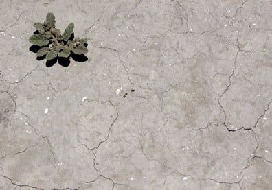 Sequia - Tierra - PORTADA1